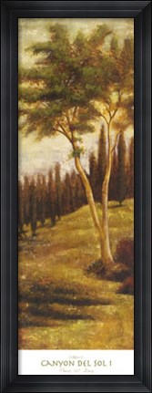 Framed Canyon del Sol I Print