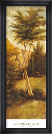 Framed Canyon del Sol II Print