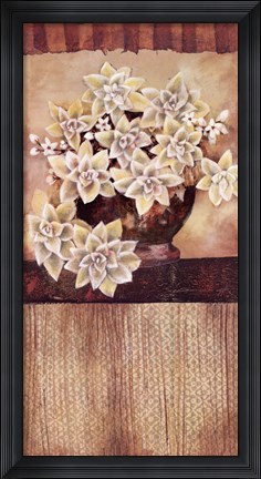 Framed Botanist Print