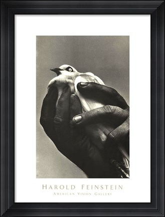 Framed Bird in Hand Print