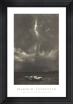 Framed Sheep Under Cloud Print