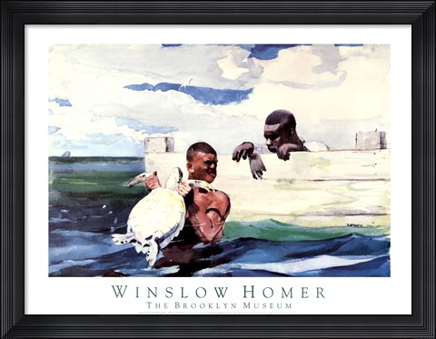 Framed Turtle Pound Print