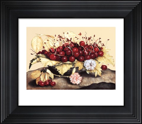Framed Piatto di Baccelli Print