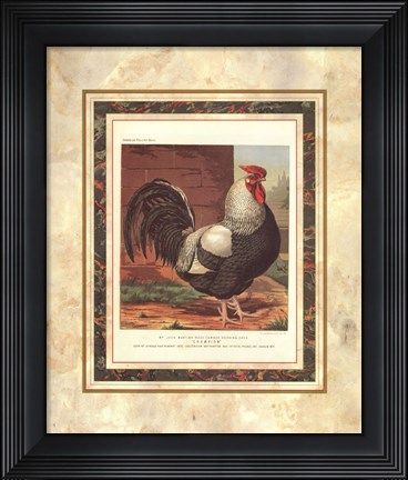 Framed Rose-Combed Dorking Cock Print