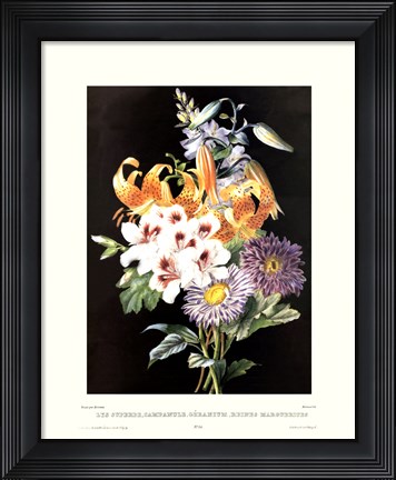 Framed Geranium Print