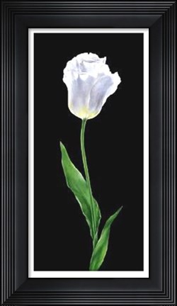 Framed Tulip Print