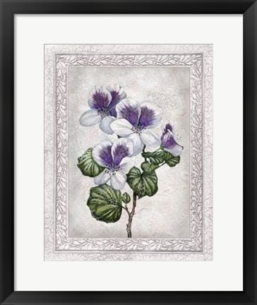 Framed Flowers of Spring II Print