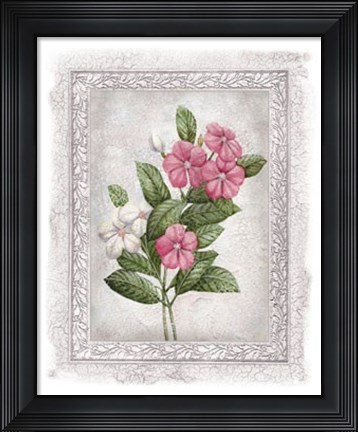 Framed Flowers of Spring III Print