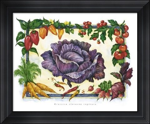 Framed Cabbage Print