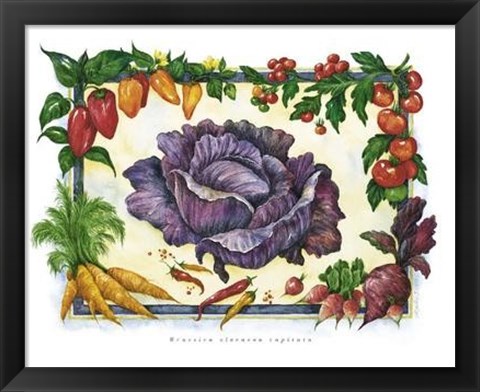 Framed Cabbage Print
