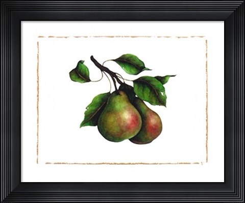 Framed Comice Pear Print