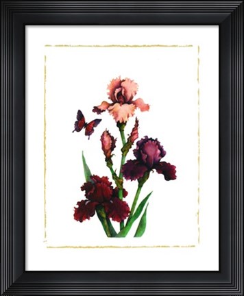 Framed Irises of Spring I Print