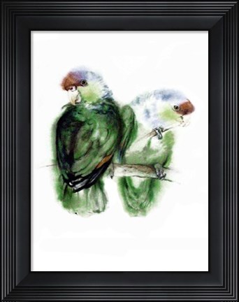 Framed Blaukappen-Amazonen (Amazona Aestiva) Print