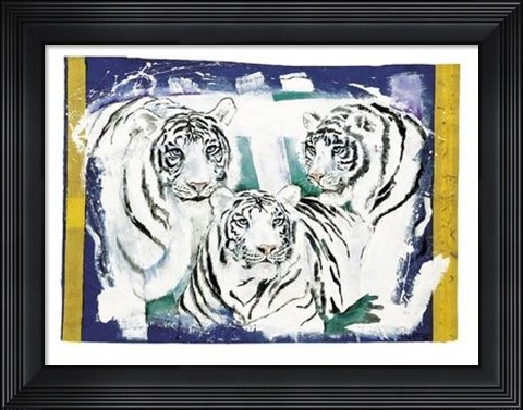 Framed Three White Tigers Print