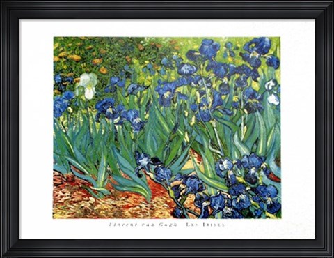 Framed Les Irises Print
