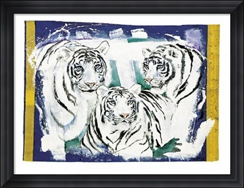 Framed Three White Tigers Print