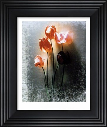 Framed Five Tulips Print
