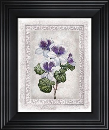 Framed Flowers of Spring II Print