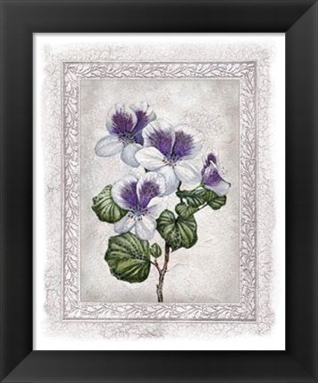 Framed Flowers of Spring II Print