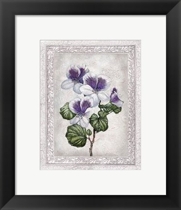 Framed Flowers of Spring II Print