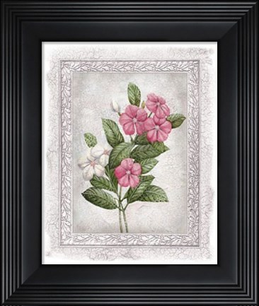 Framed Flowers of Spring III Print