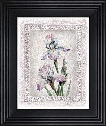 Framed Flowers of Spring IV Print