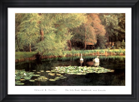 Framed Lily Pond, Shudbrook, Near Lincoln Print