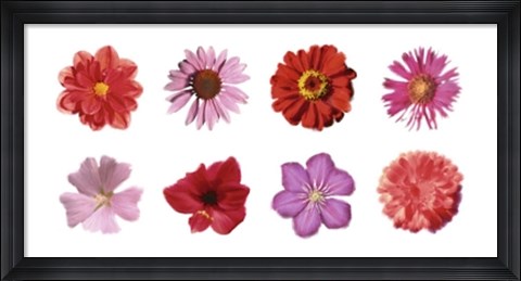 Framed Petales Rouges et Roses Print