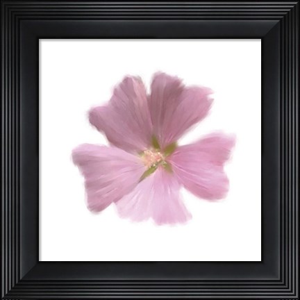 Framed Petales Roses I Print