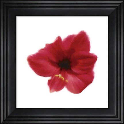 Framed Petales Rouges I Print