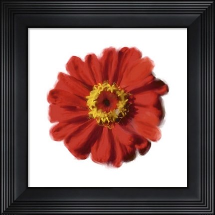 Framed Petales Rouges II Print