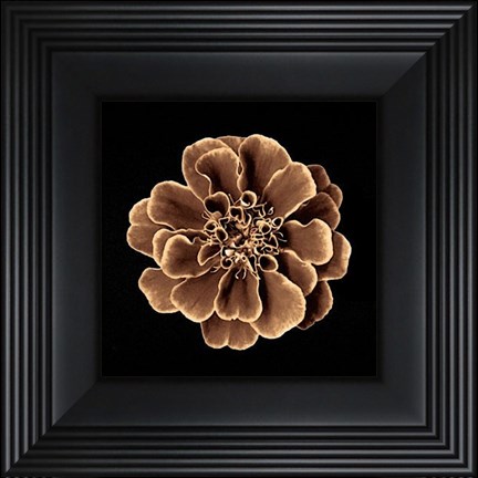 Framed Ruffles in Taupe Print