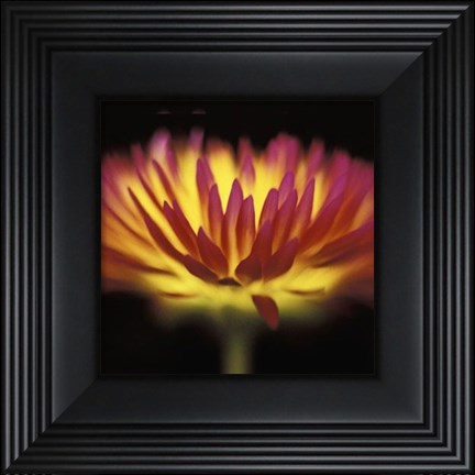 Framed Sunshine Print