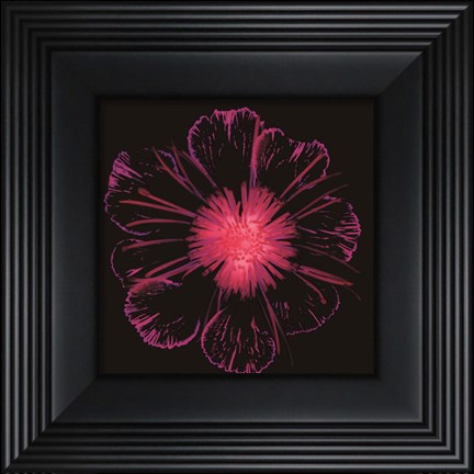 Framed Burst of Crimson Print