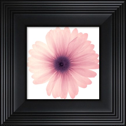 Framed Pink Petals Print