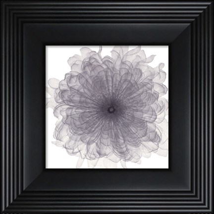 Framed Chiffon Floral Print
