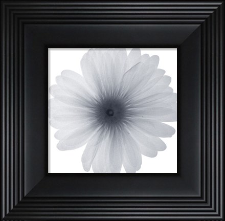 Framed Delicate Petals Print