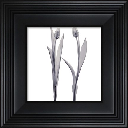 Framed Delicate Duo Print