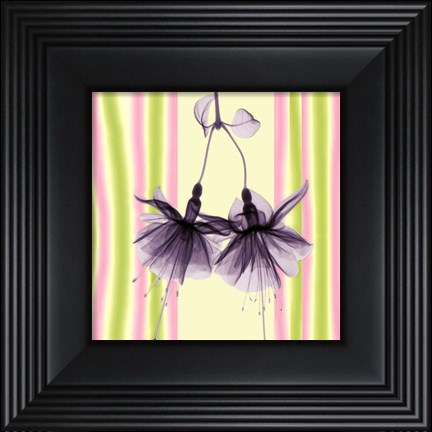 Framed Bridal Veil in Lilac Shimmer Print