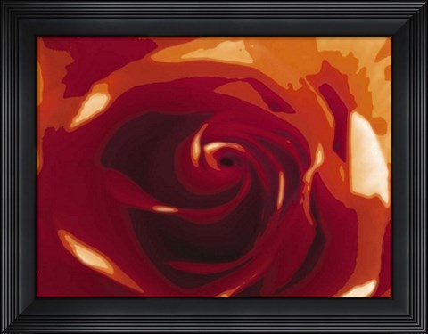 Framed Rose Variation II Print