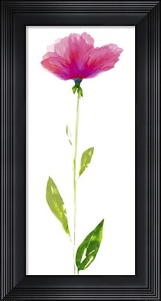 Framed Shades of Red Print