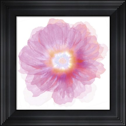 Framed Fleur Rose Print