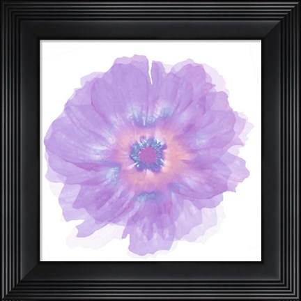 Framed Fleur Violette Print