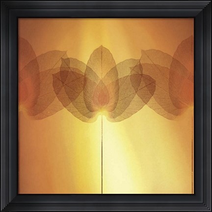 Framed Transparence V Print