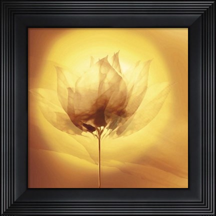 Framed Transparence V Print