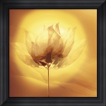 Framed Transparence VI Print