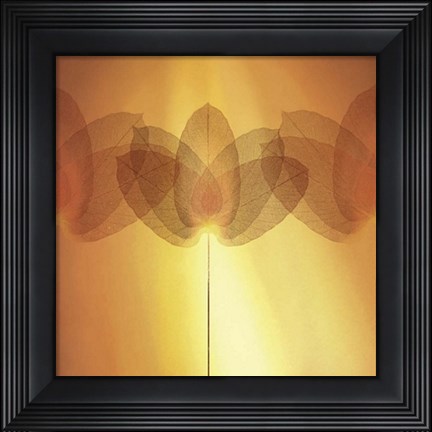 Framed Transparence VI Print