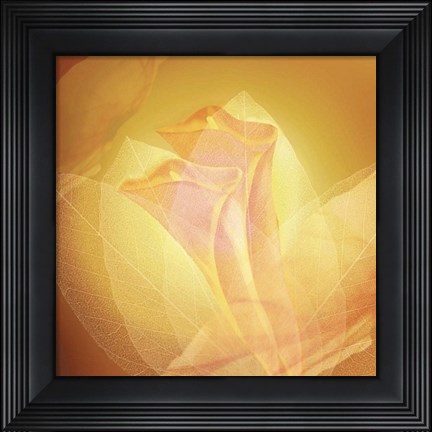Framed Transparence IV Print