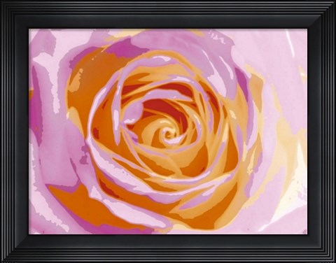 Framed Rose Variation II Print
