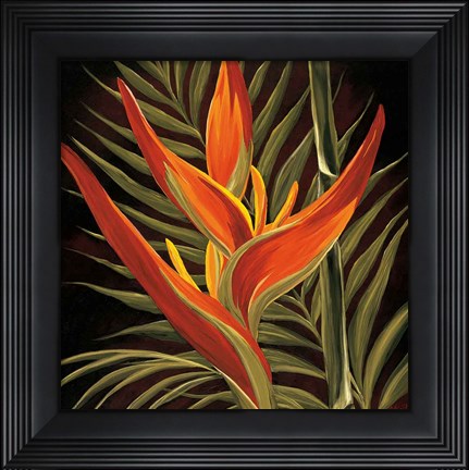 Framed Birds of Paradise I Print